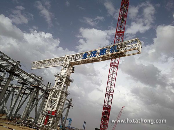 3副本.jpg 3副本.jpg